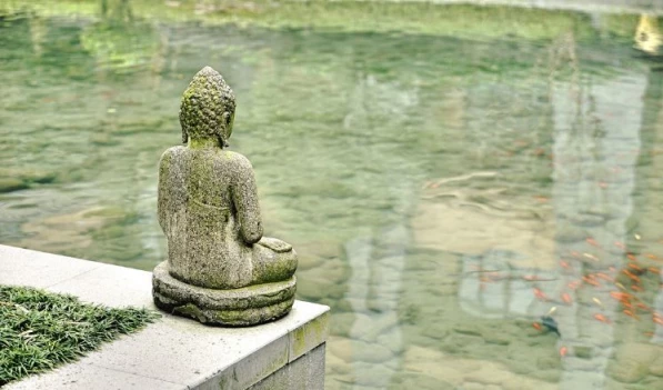 ZEN Psicanálise e Zen Budismo